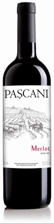 Wino Pascani Merlot Botti II