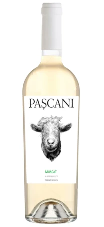Wino Pascani Muscat DemiDulce Alb 0,75l