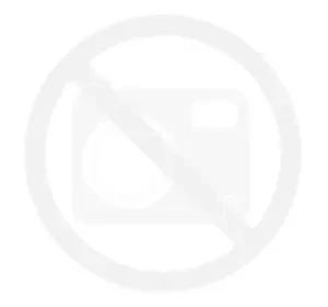 BOURBON WILD TURKEY RYE 0,7L 40,5%